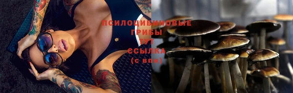 дурь Алексин