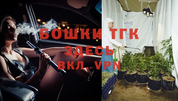 дурь Алексин