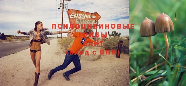 дурь Алексин